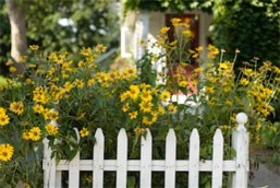 Flowers in front of house